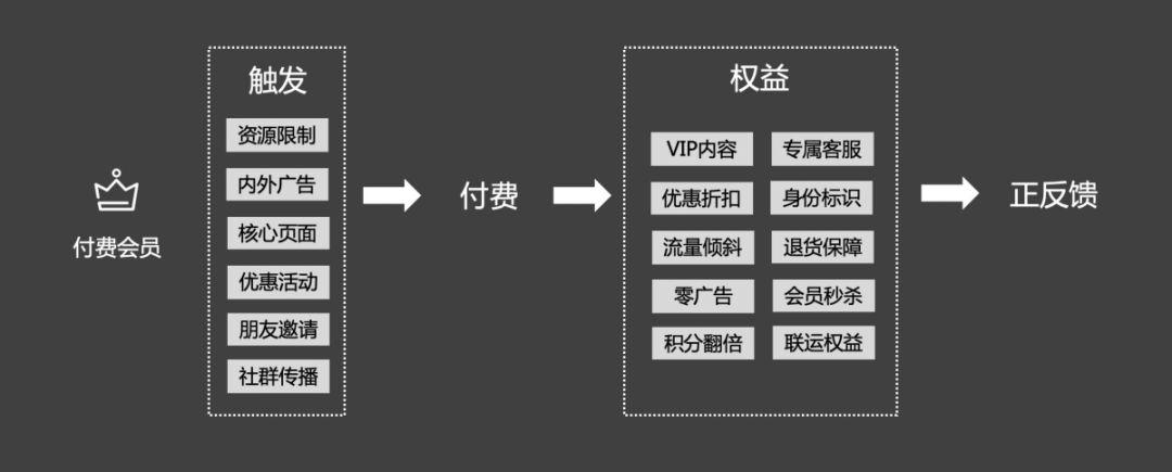万字长文史上最全的付费会员体系分析